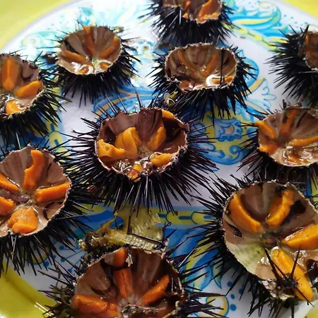 Апартаменты Baia 71 Галлиполи