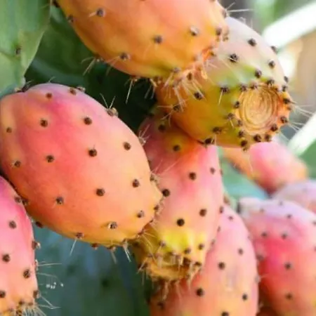 Апартаменты Baia 71 Галлиполи